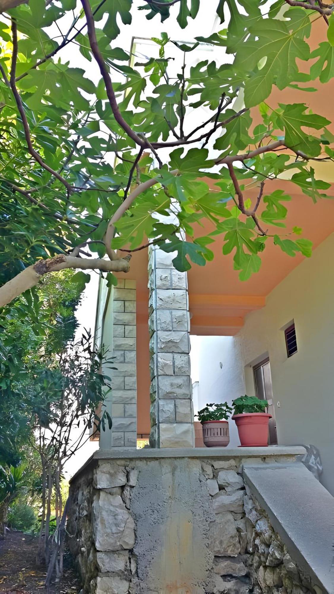 Cozy Apartments Danica Novalja - Ground Floor Екстер'єр фото